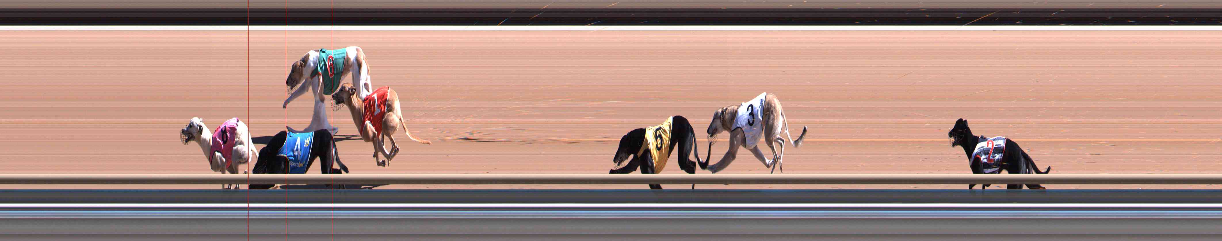 Photo finish for Healesville Race 2