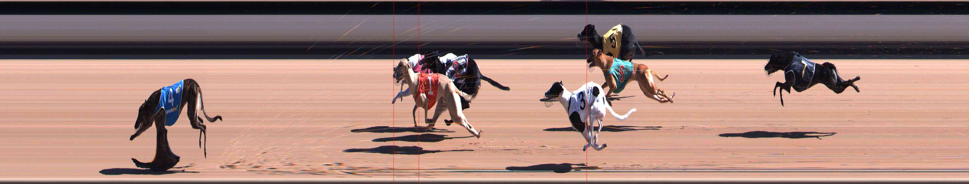 Photo finish for Healesville Race 3
