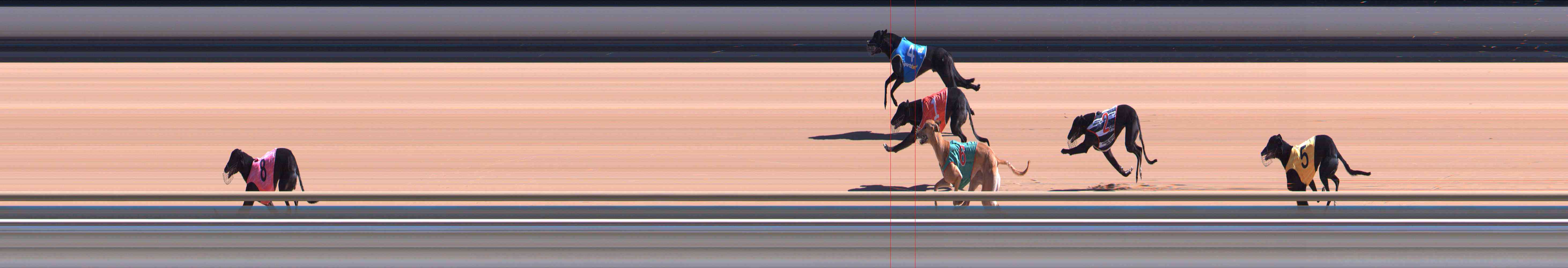 Photo finish for Healesville Race 4