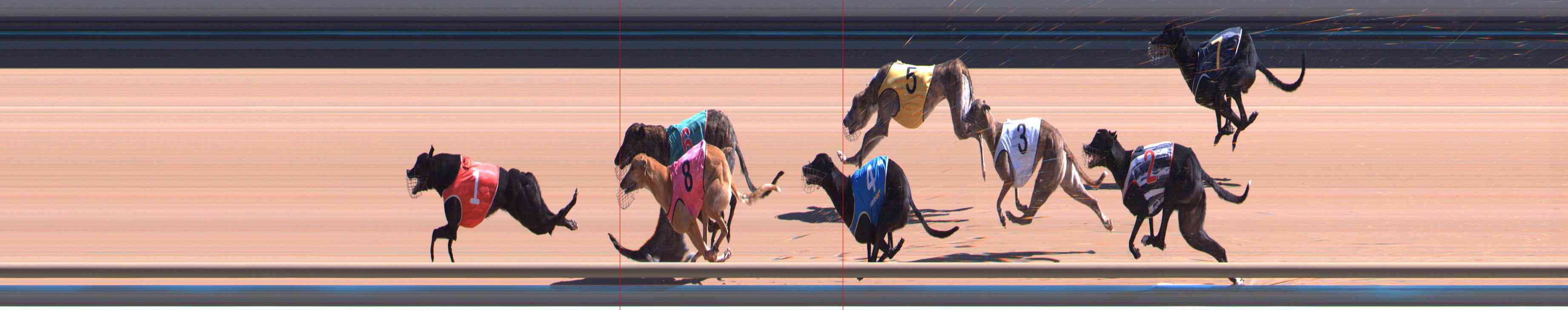 Photo finish for Healesville Race 5