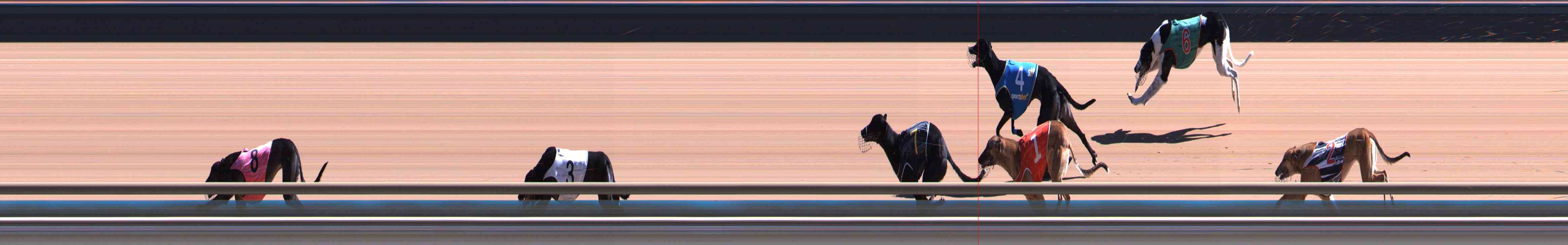 Photo finish for Healesville Race 6