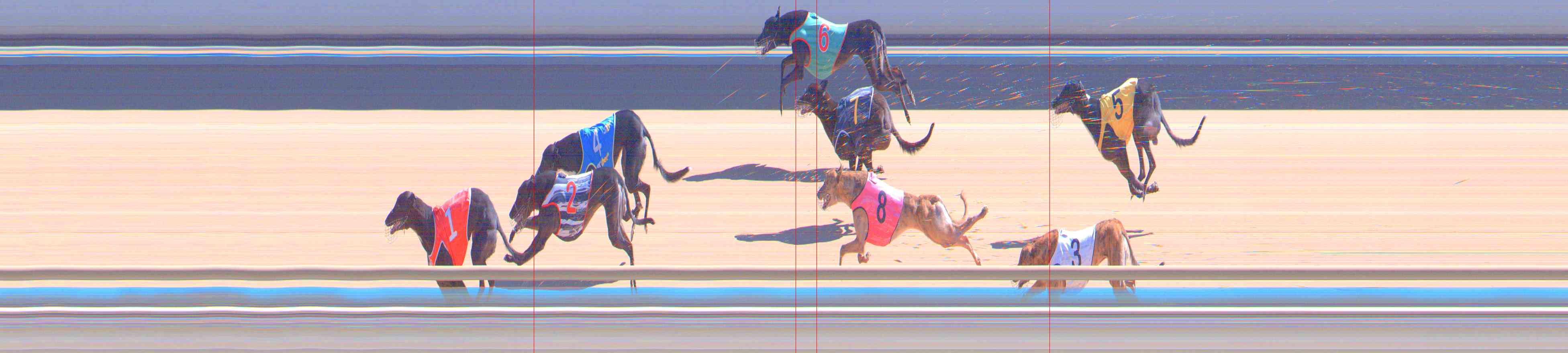 Photo finish for Healesville Race 7
