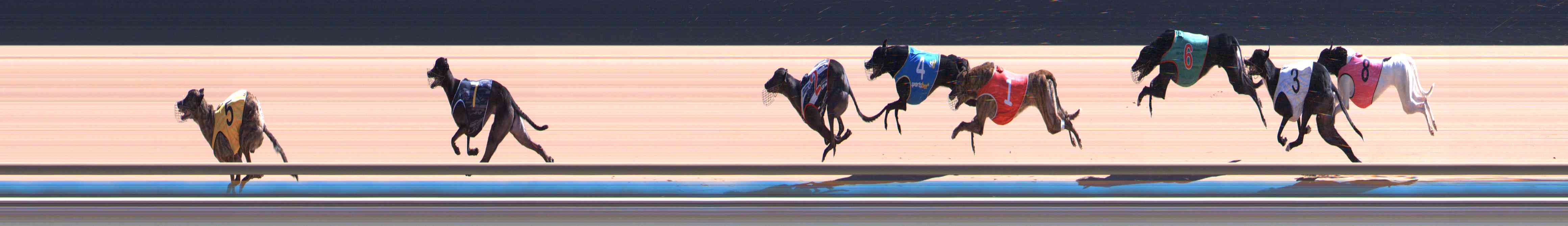 Photo finish for Healesville Race 8