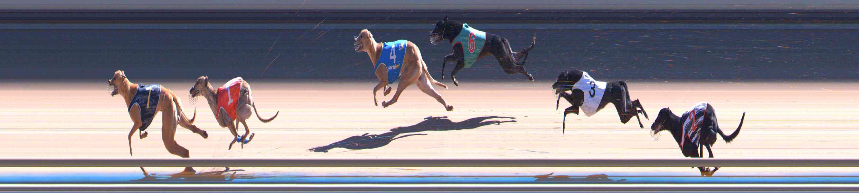 Photo finish for Healesville Race 9