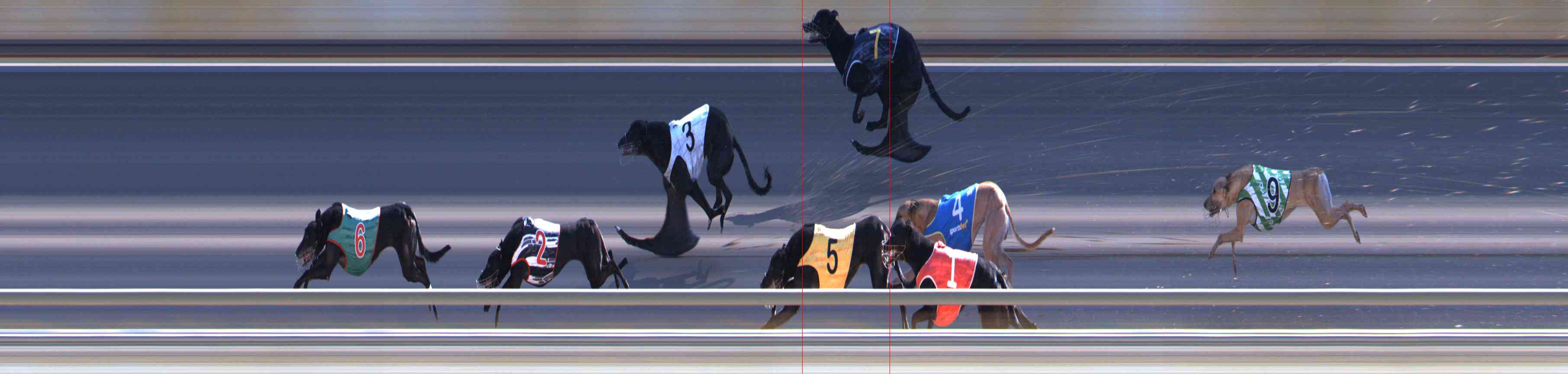 Photo finish for Healesville Race 11