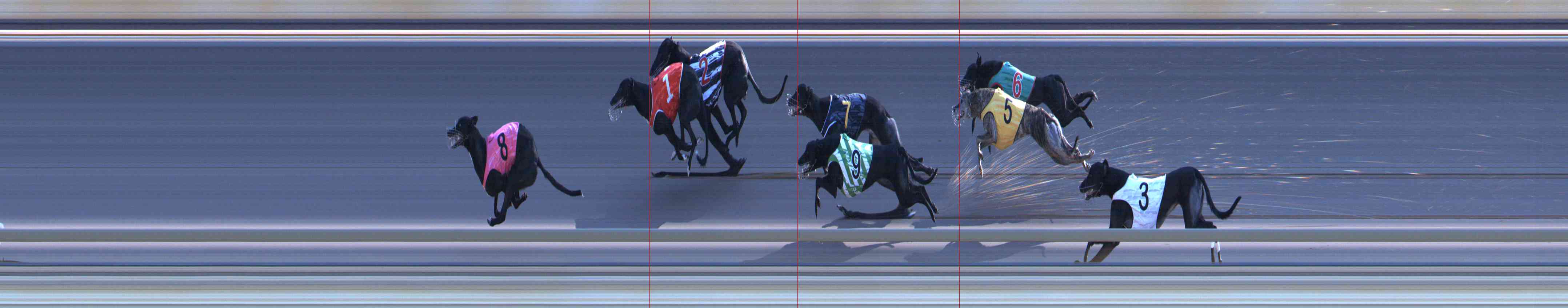 Photo finish for Healesville Race 12