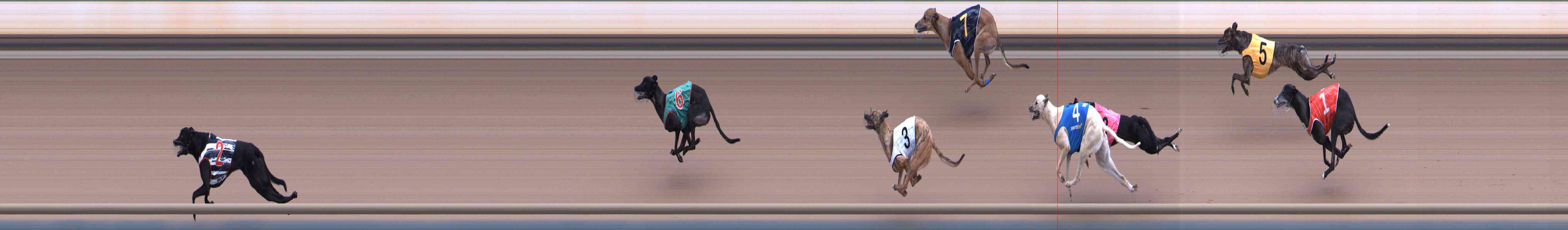 Photo finish for Healesville Race 1