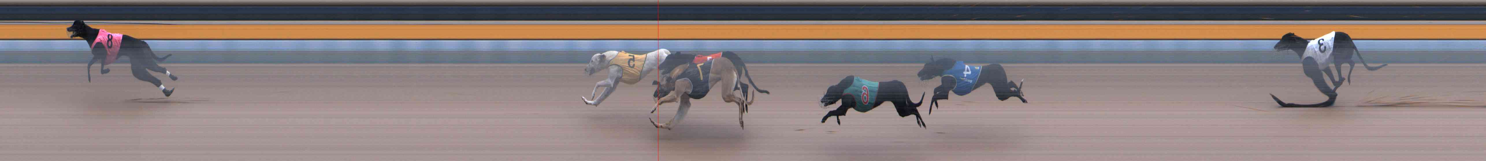 Photo finish for Healesville Race 2