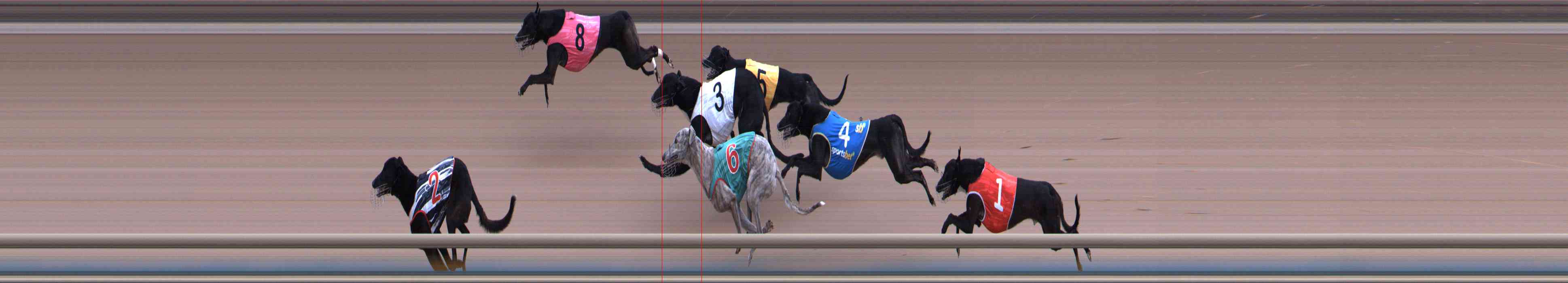 Photo finish for Healesville Race 3