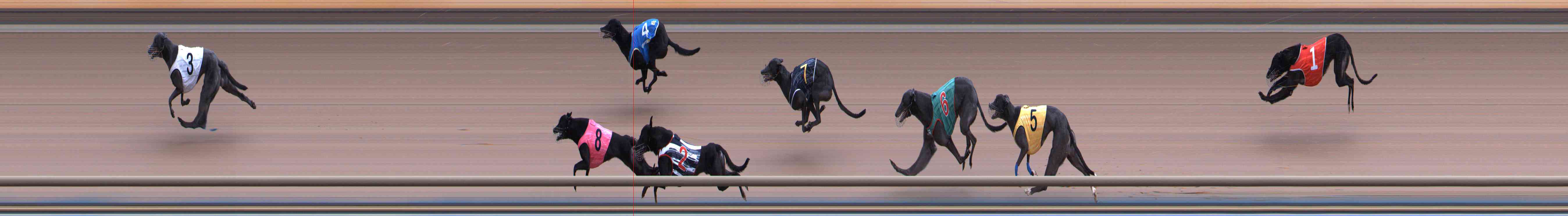 Photo finish for Healesville Race 4