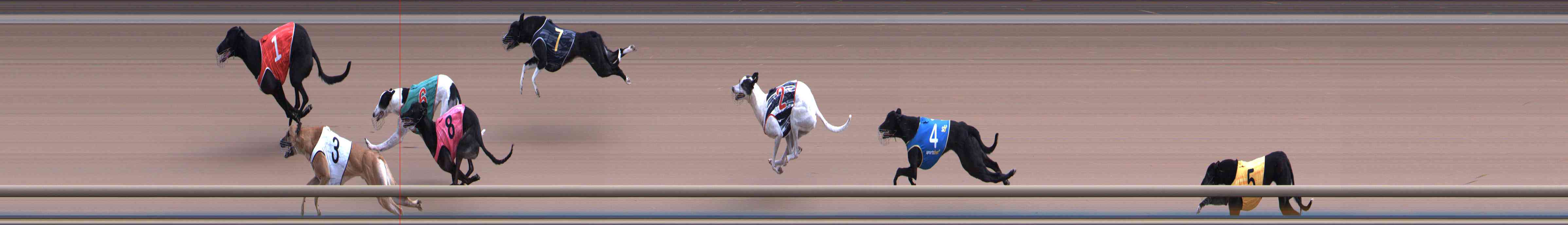 Photo finish for Healesville Race 5