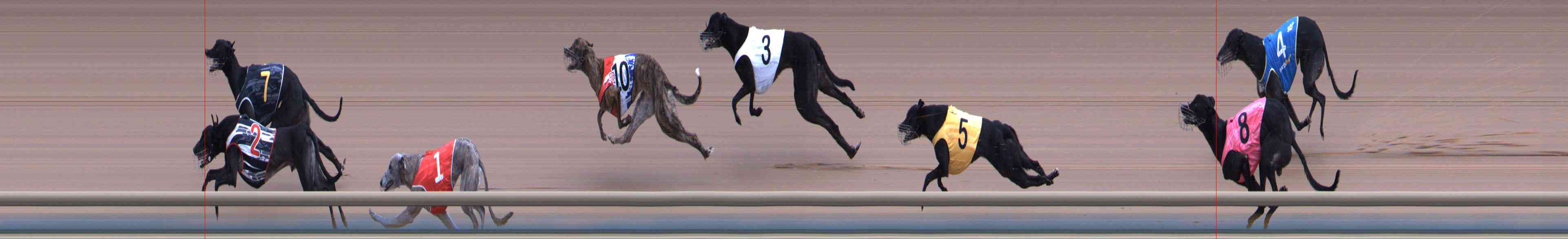 Photo finish for Healesville Race 6