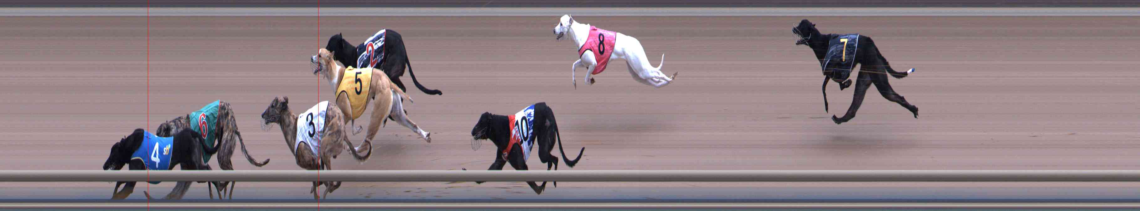 Photo finish for Healesville Race 7
