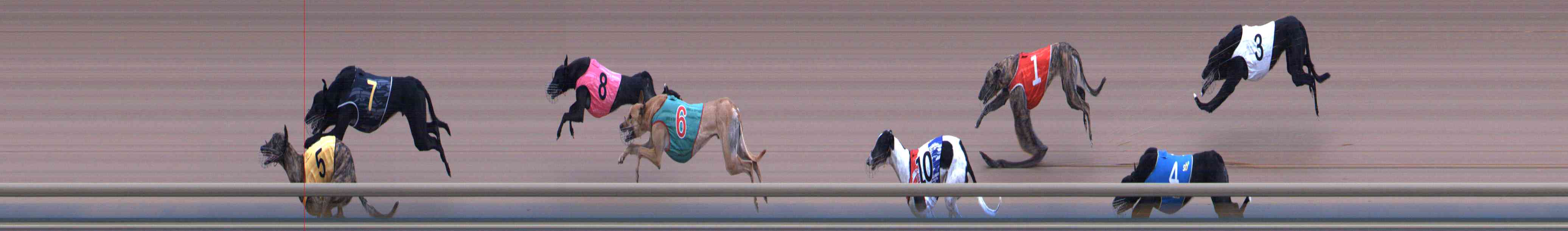 Photo finish for Healesville Race 8