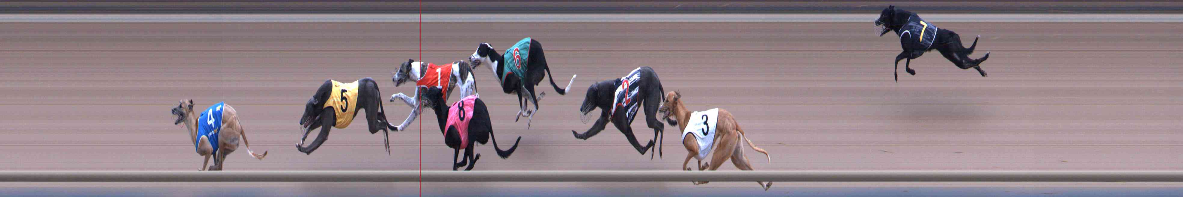 Photo finish for Healesville Race 9