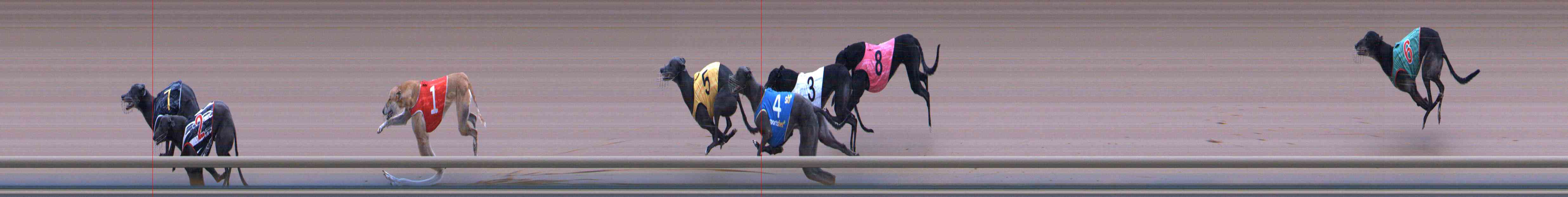 Photo finish for Healesville Race 10