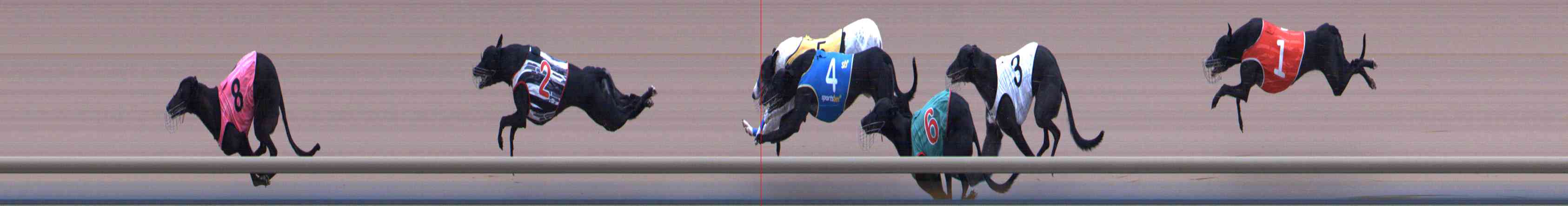 Photo finish for Healesville Race 11
