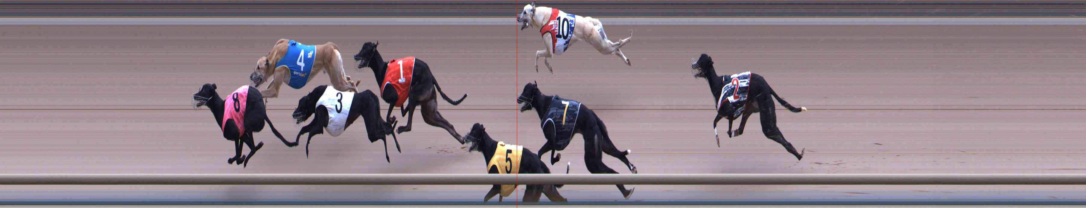Photo finish for Healesville Race 12
