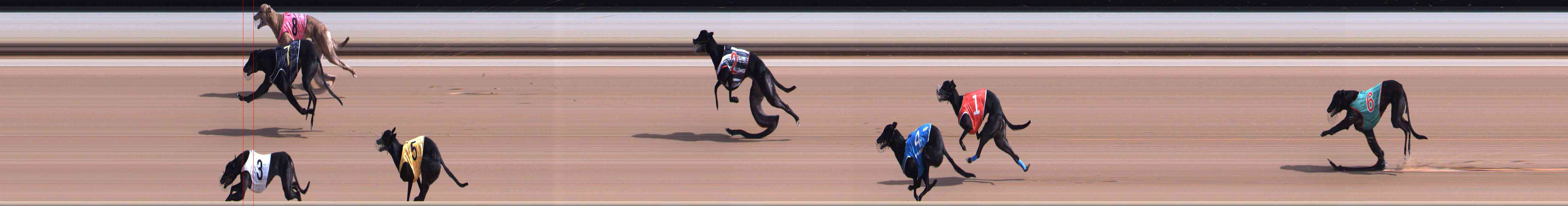 Photo finish for Healesville Race 1