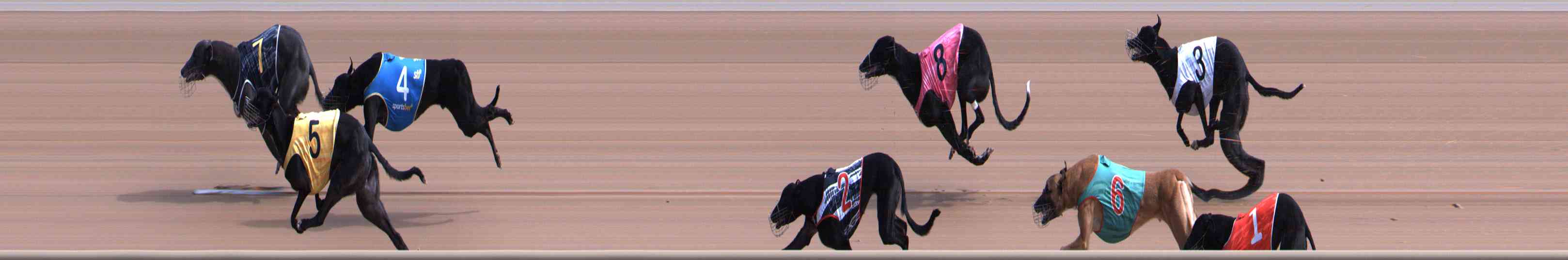 Photo finish for Healesville Race 2