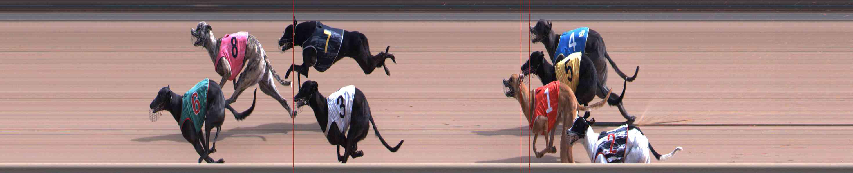 Photo finish for Healesville Race 3