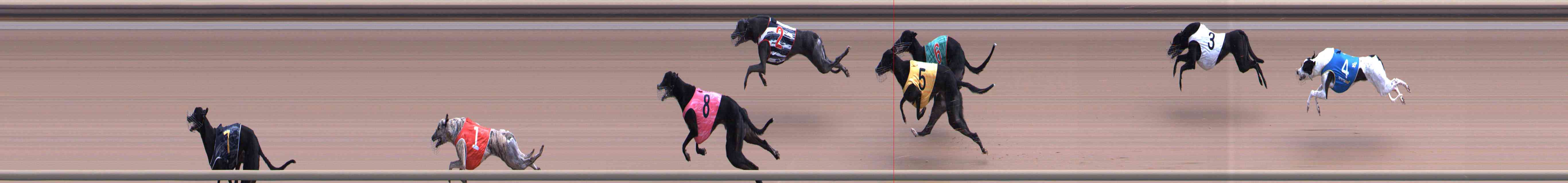 Photo finish for Healesville Race 4