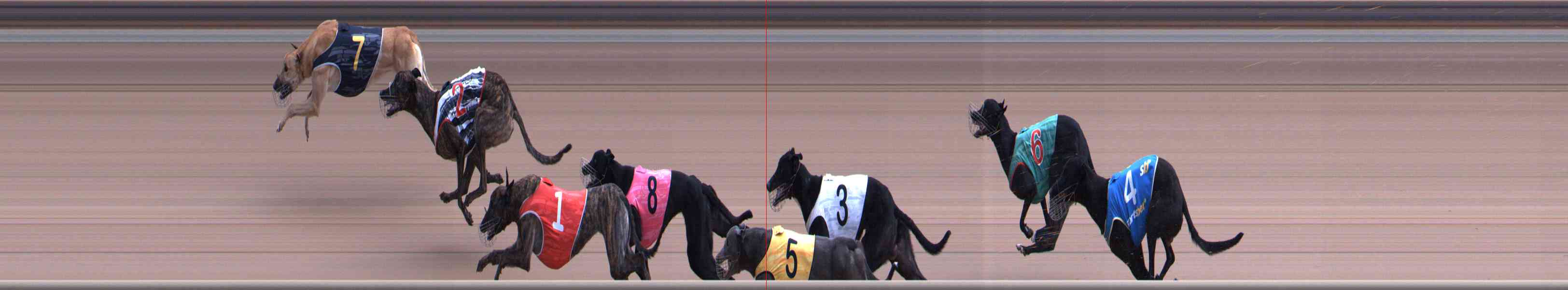 Photo finish for Healesville Race 5