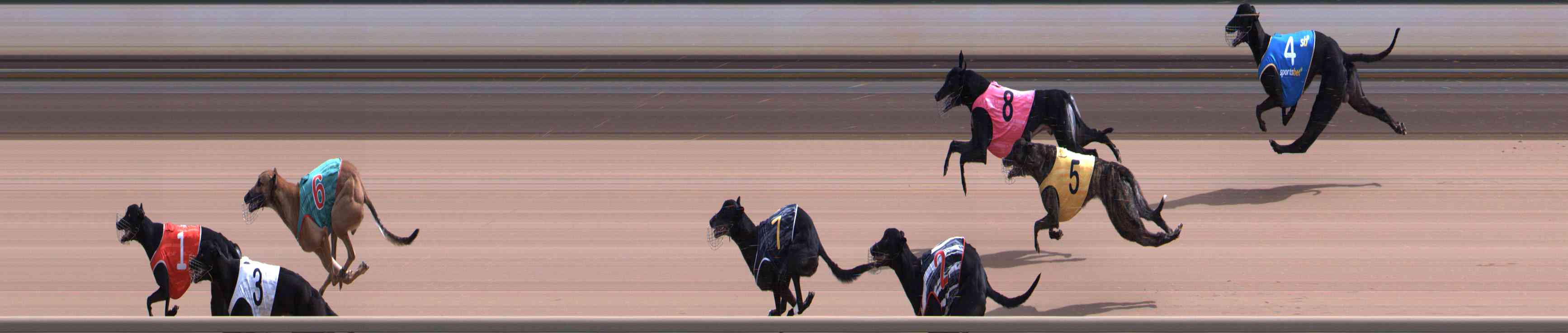 Photo finish for Healesville Race 6