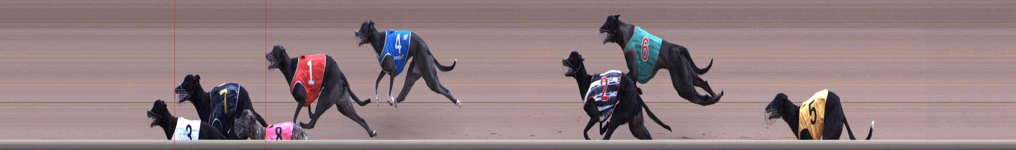 Photo finish for Healesville Race 7