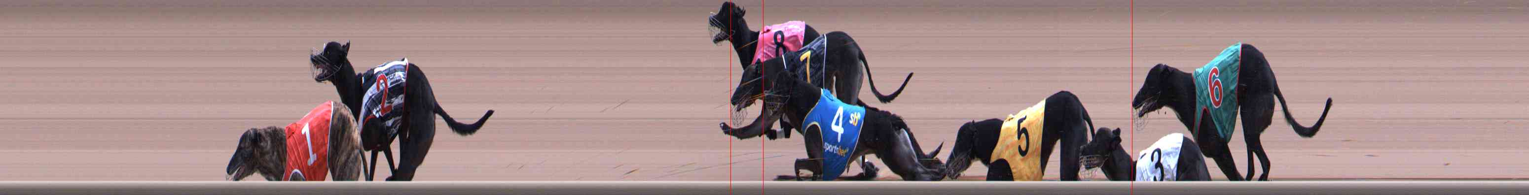 Photo finish for Healesville Race 8