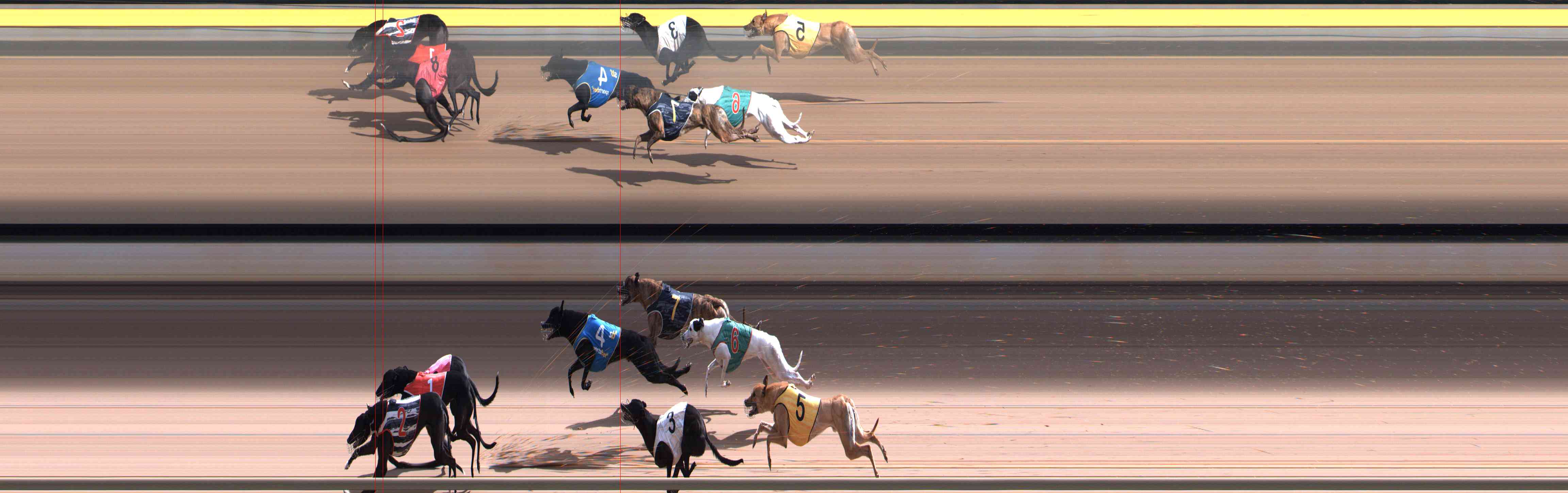 Photo finish for Healesville Race 9