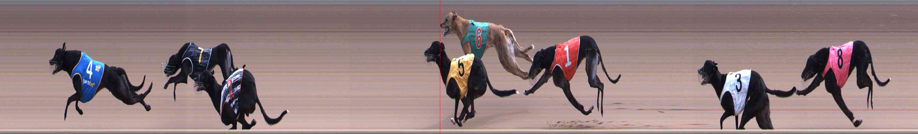 Photo finish for Healesville Race 10