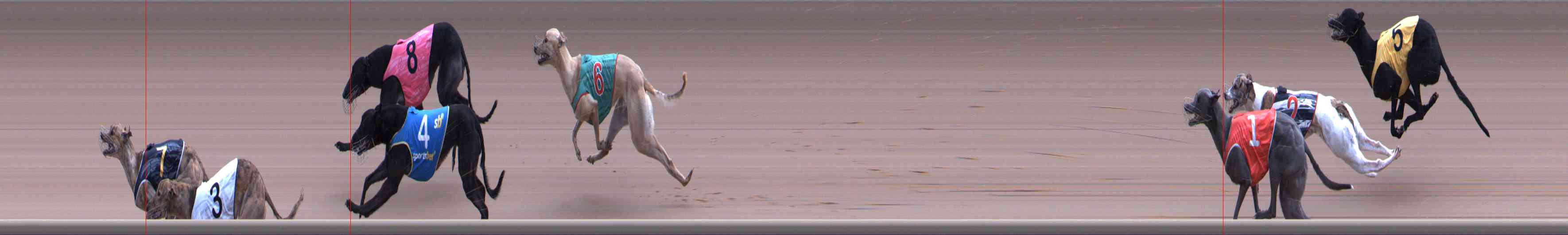 Photo finish for Healesville Race 11