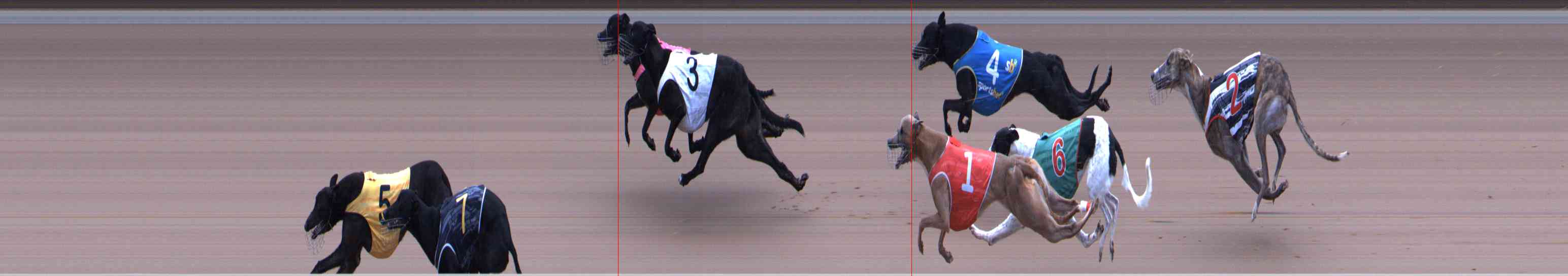 Photo finish for Healesville Race 12