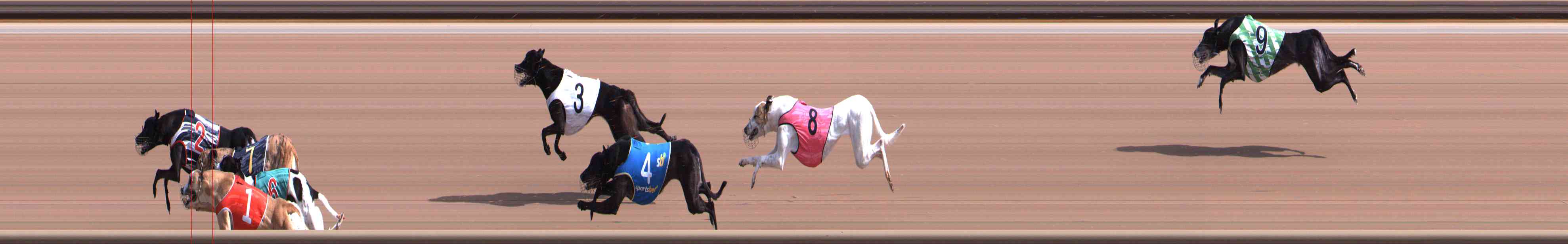 Photo finish for Healesville Race 2