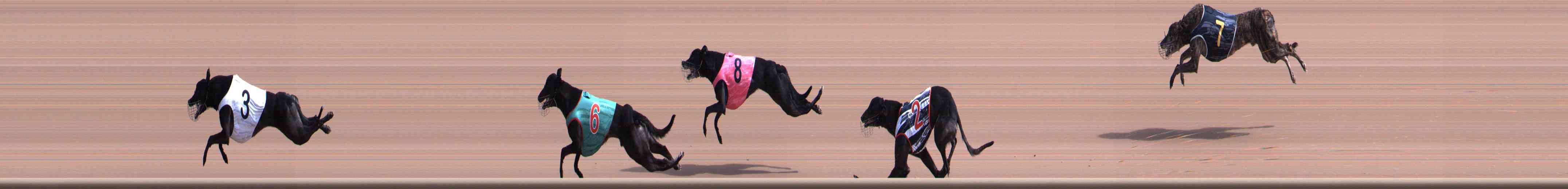 Photo finish for Healesville Race 3