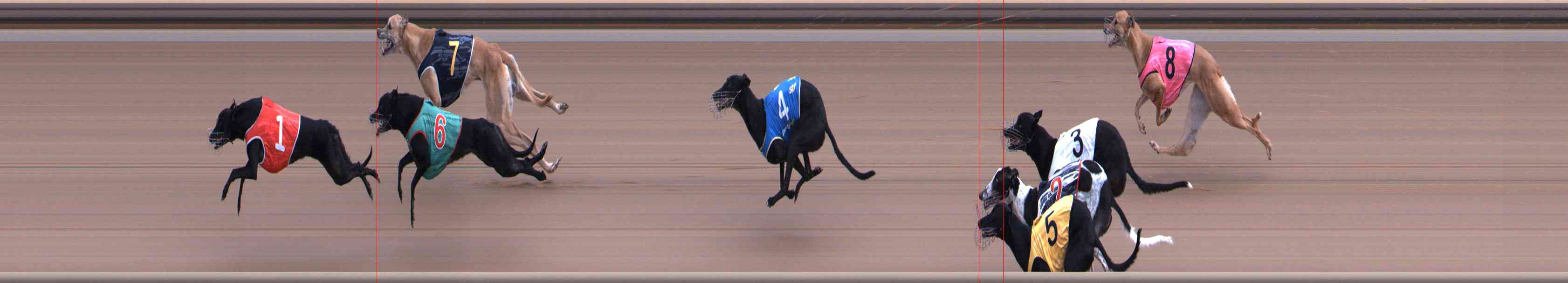 Photo finish for Healesville Race 4