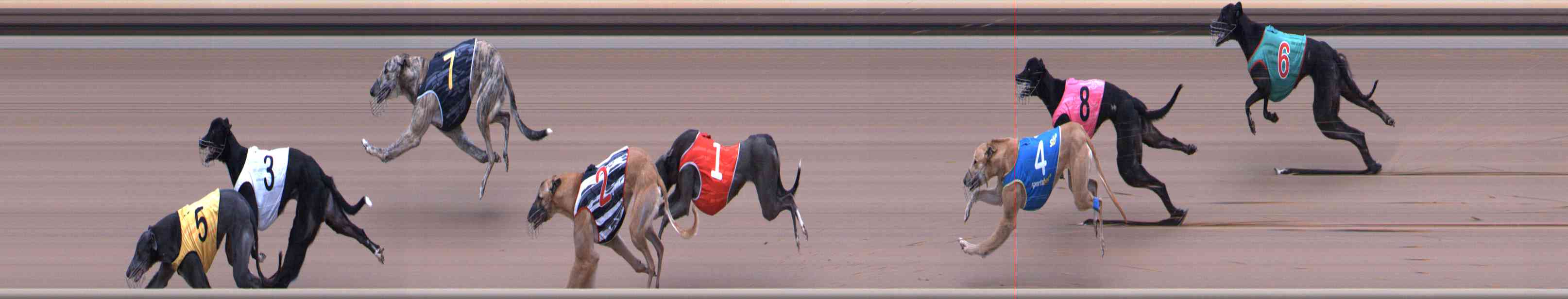 Photo finish for Healesville Race 5