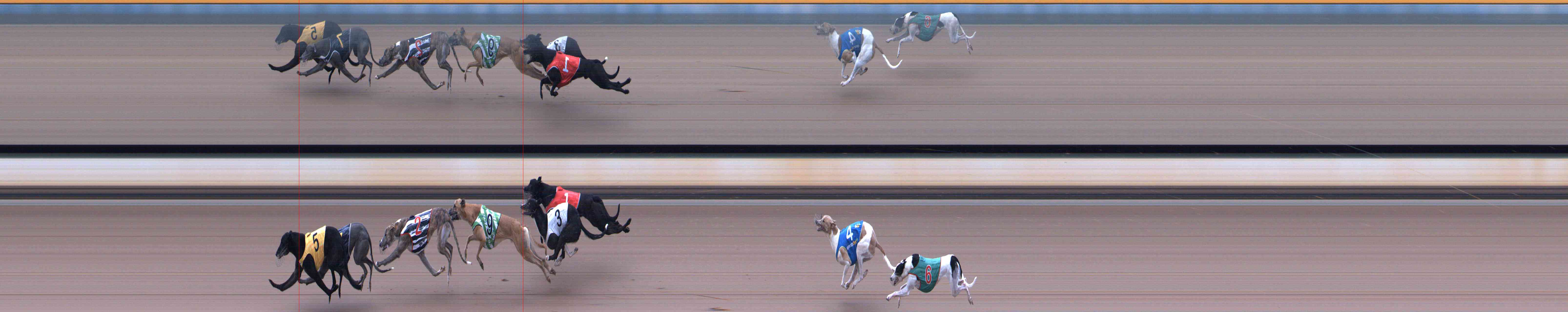 Photo finish for Healesville Race 6