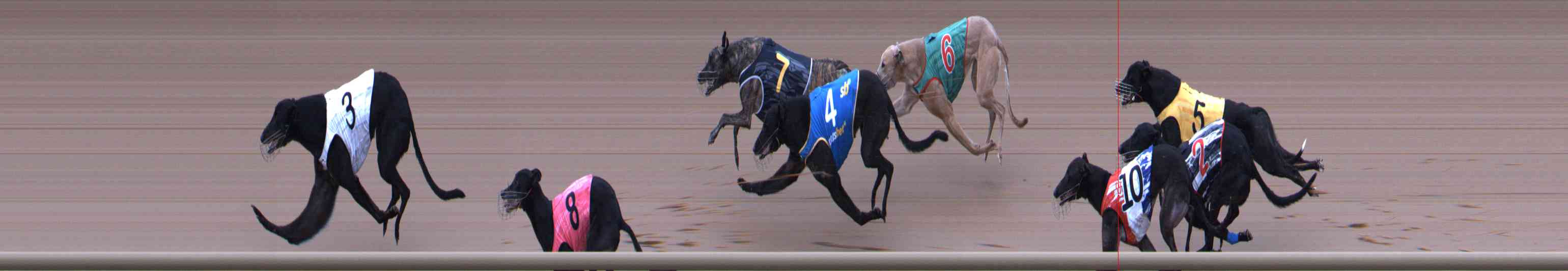 Photo finish for Healesville Race 7