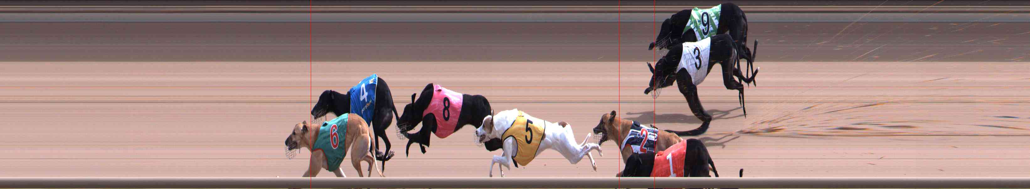 Photo finish for Healesville Race 8
