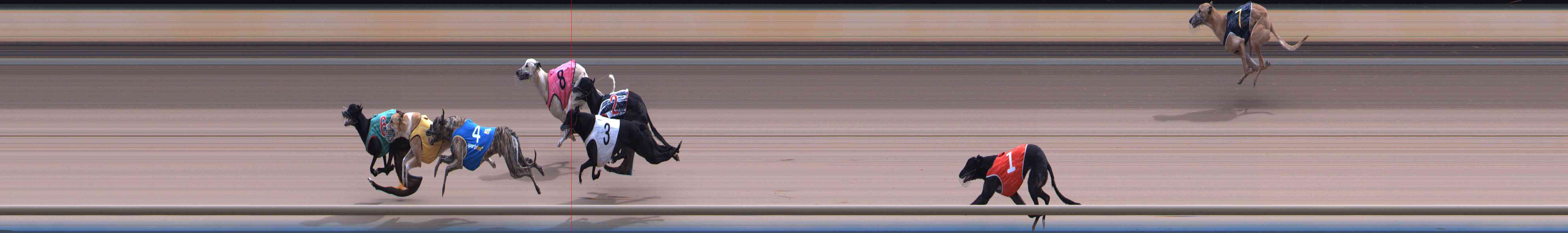 Photo finish for Healesville Race 9