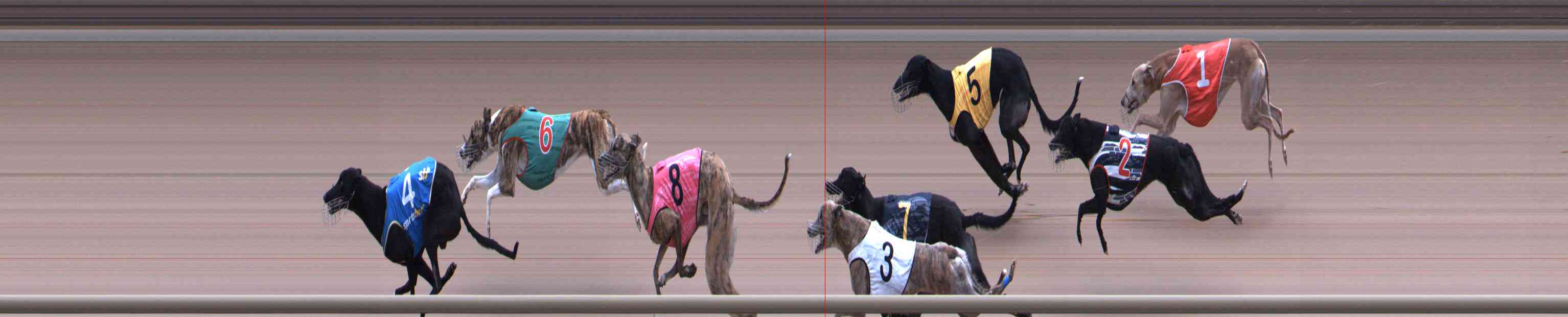 Photo finish for Healesville Race 10