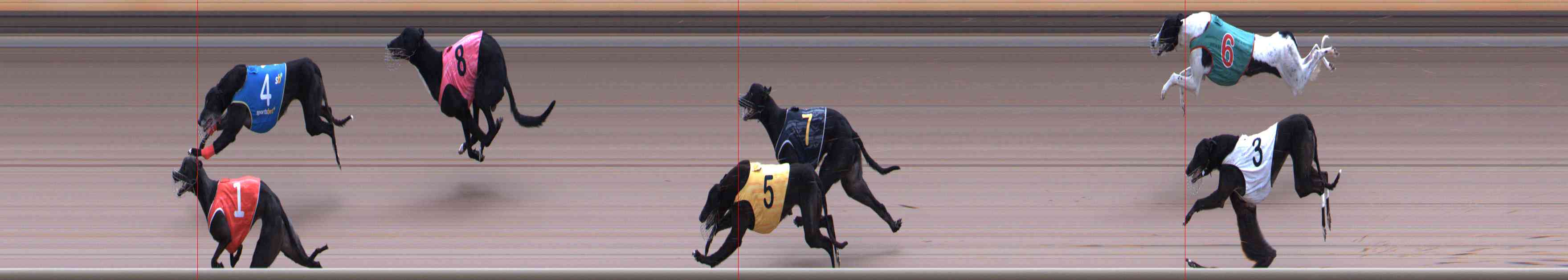 Photo finish for Healesville Race 11