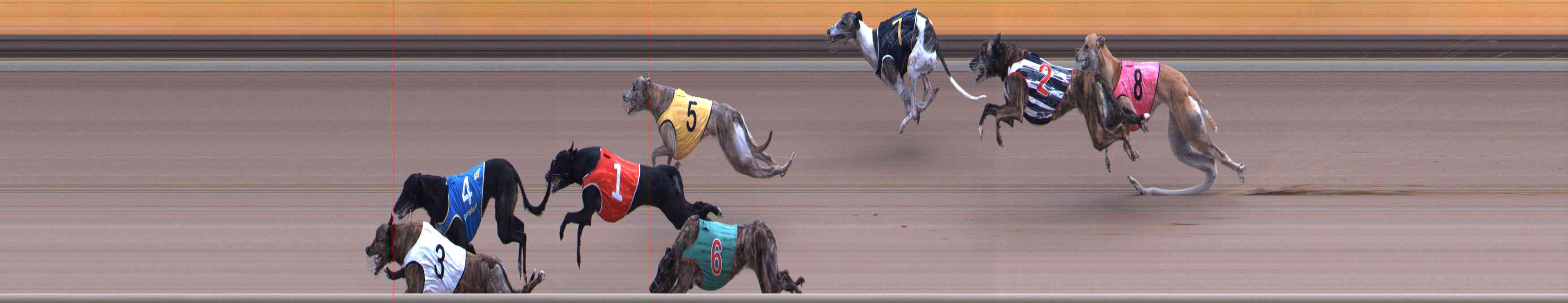 Photo finish for Healesville Race 12
