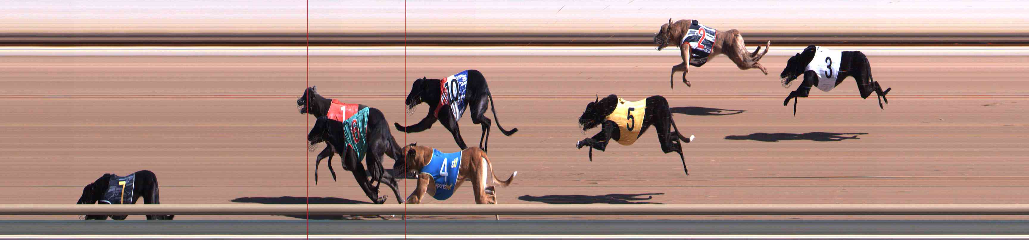 Photo finish for Healesville Race 1