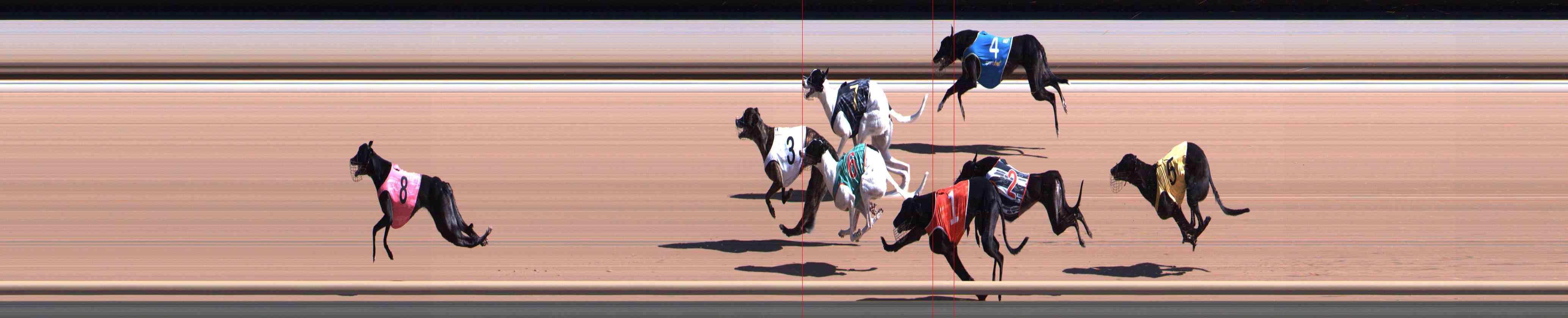 Photo finish for Healesville Race 2