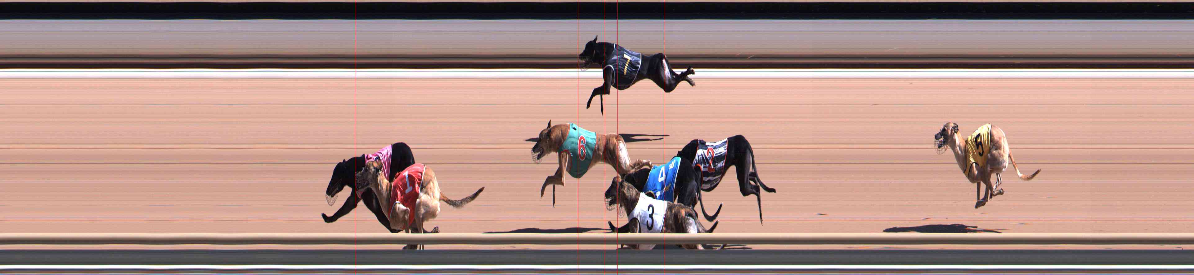 Photo finish for Healesville Race 3