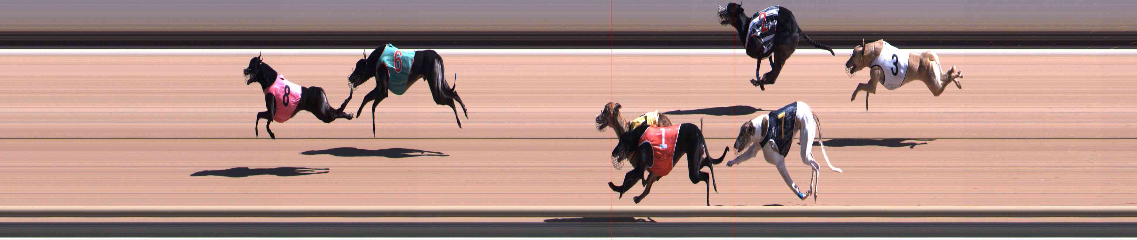 Photo finish for Healesville Race 4