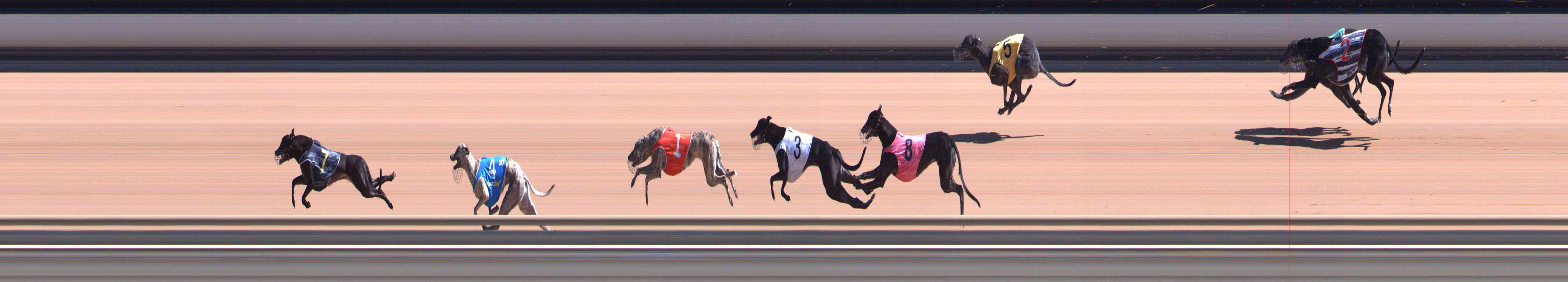 Photo finish for Healesville Race 5